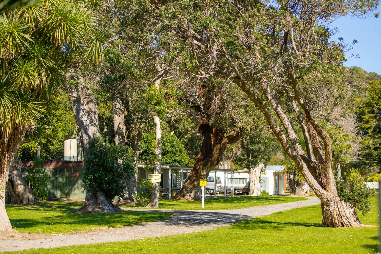 Waihau Bay Holiday Park