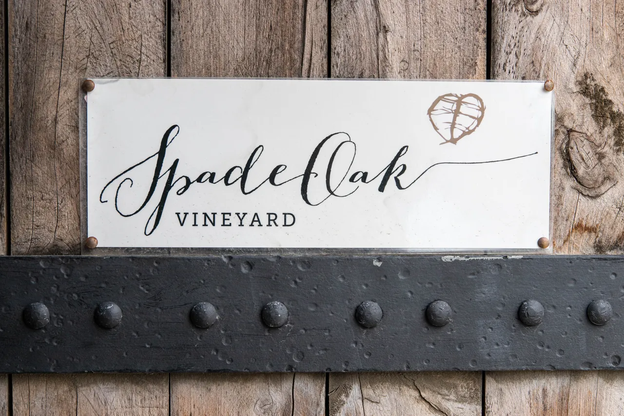 Spade Oak Vineyard