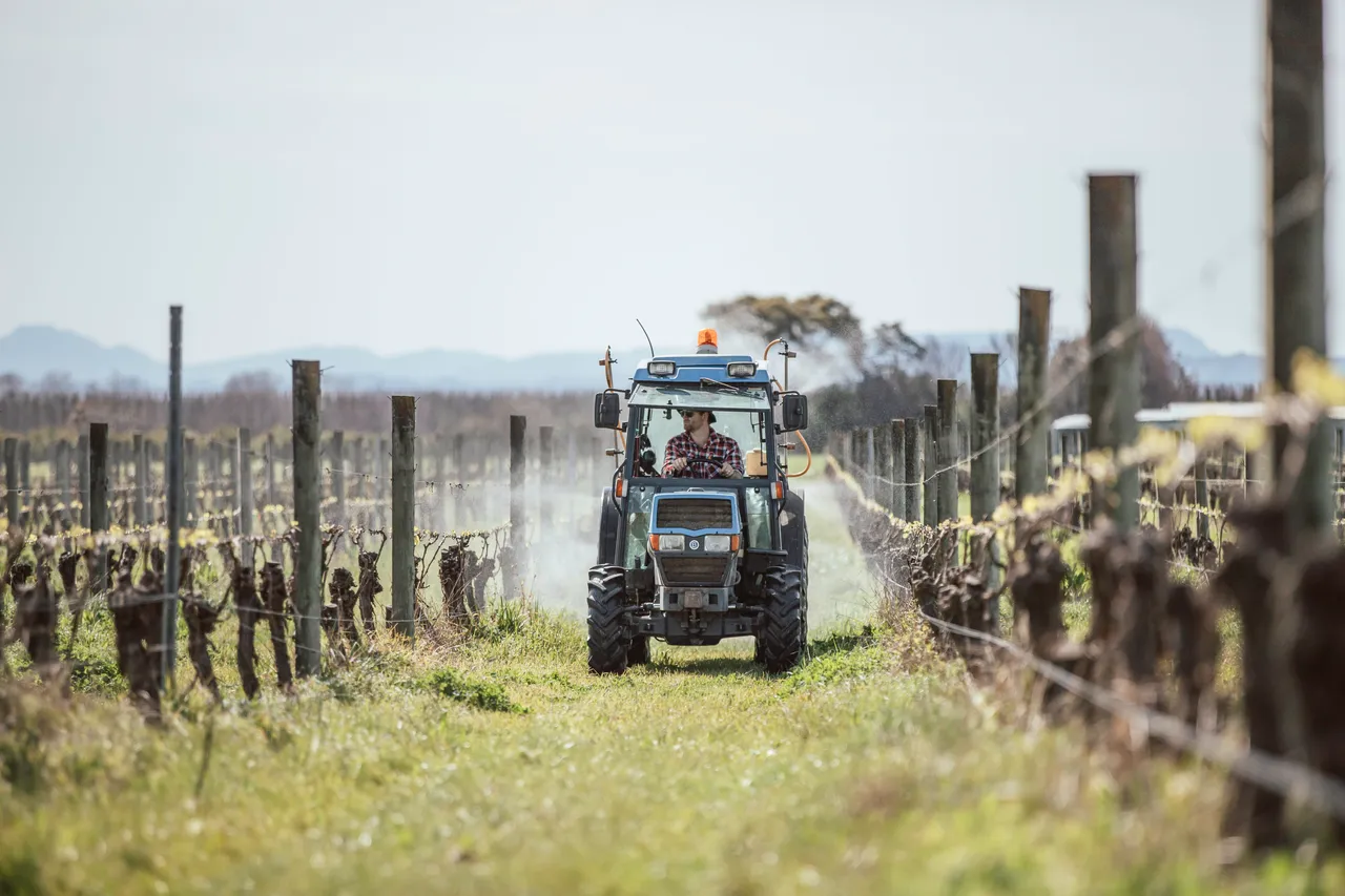 Wrights Vineyard and Winery