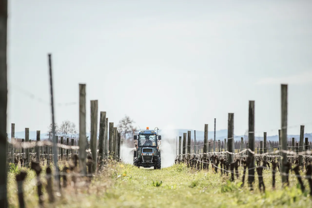 Wrights Vineyard and Winery