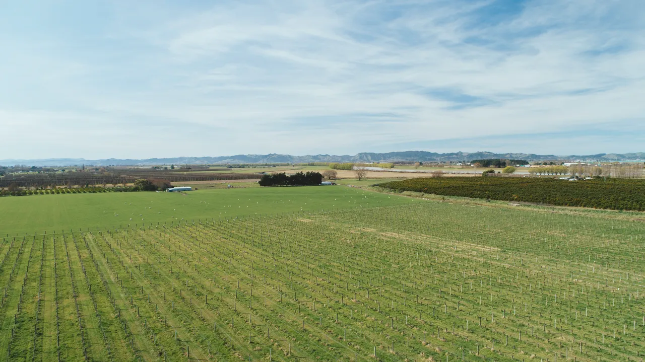Wrights Vineyard and Winery