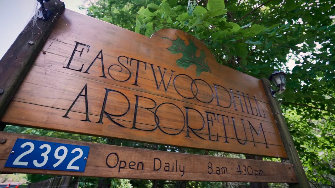 Eastwoodhill Arboretum