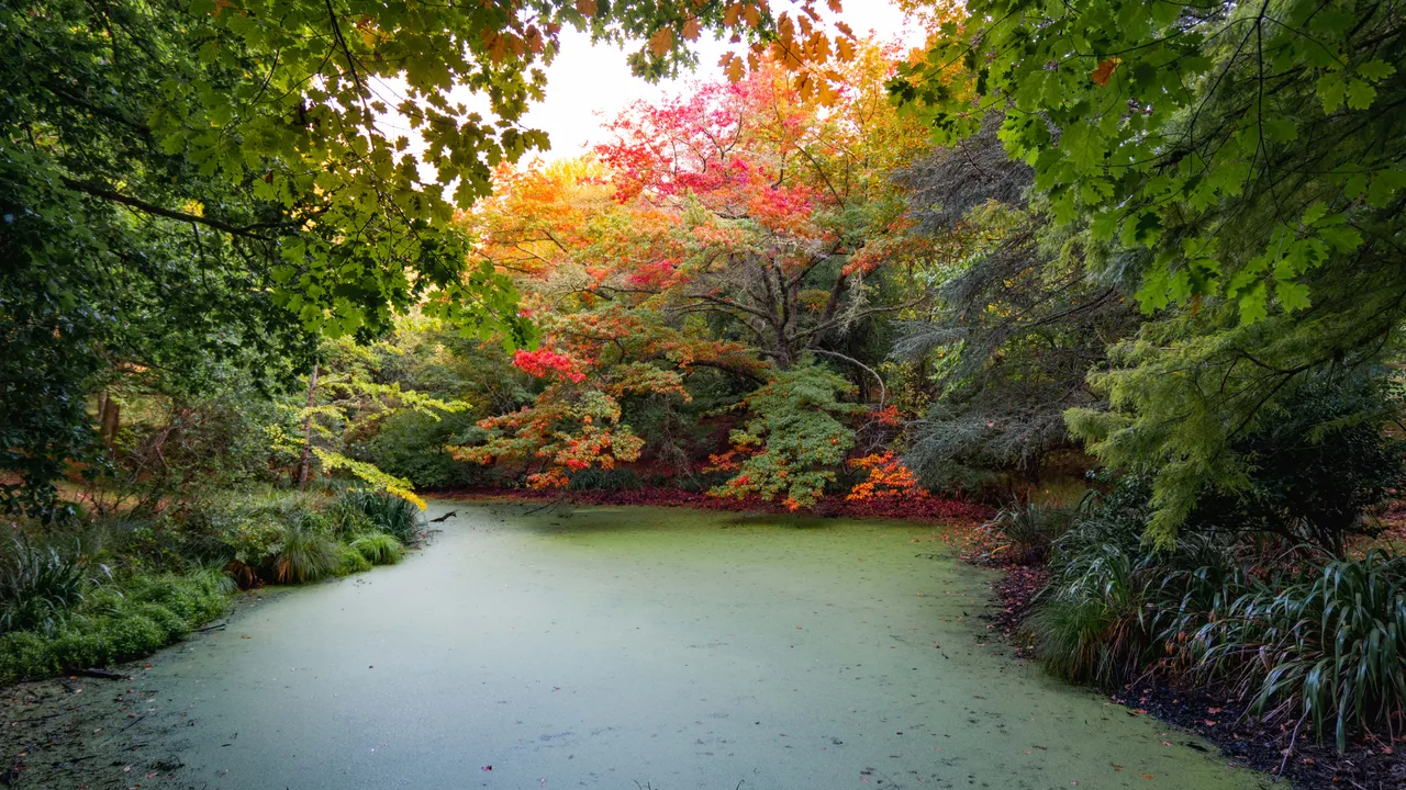 Eastwoodhill Arboretum-2