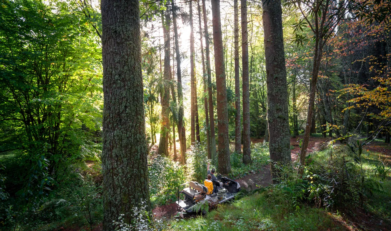 Eastwoodhill Arboretum-3