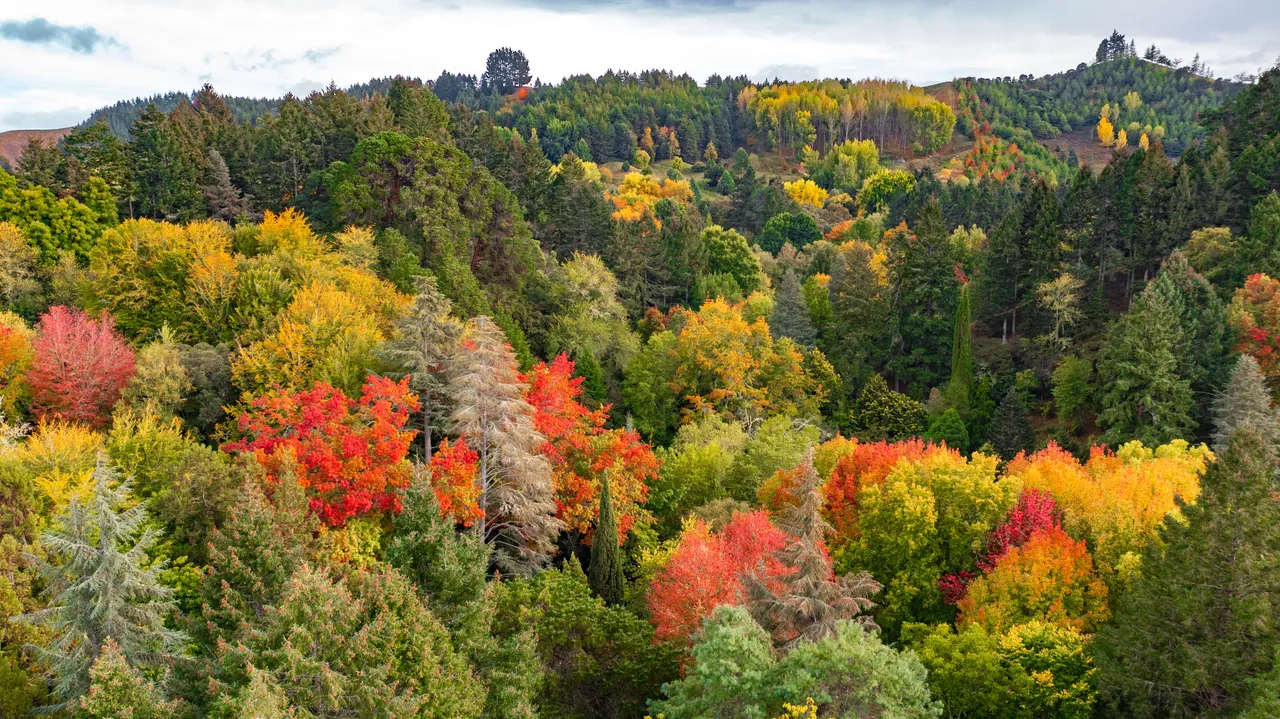 Eastwoodhill Arboretum-13