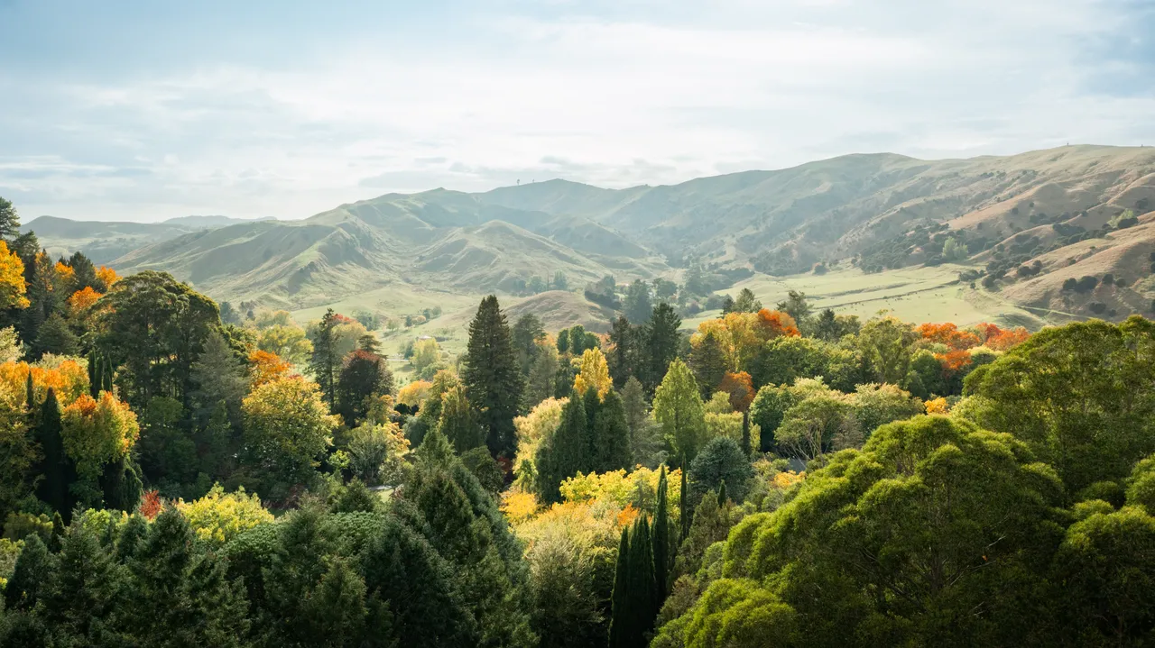 Eastwoodhill Arboretum-12