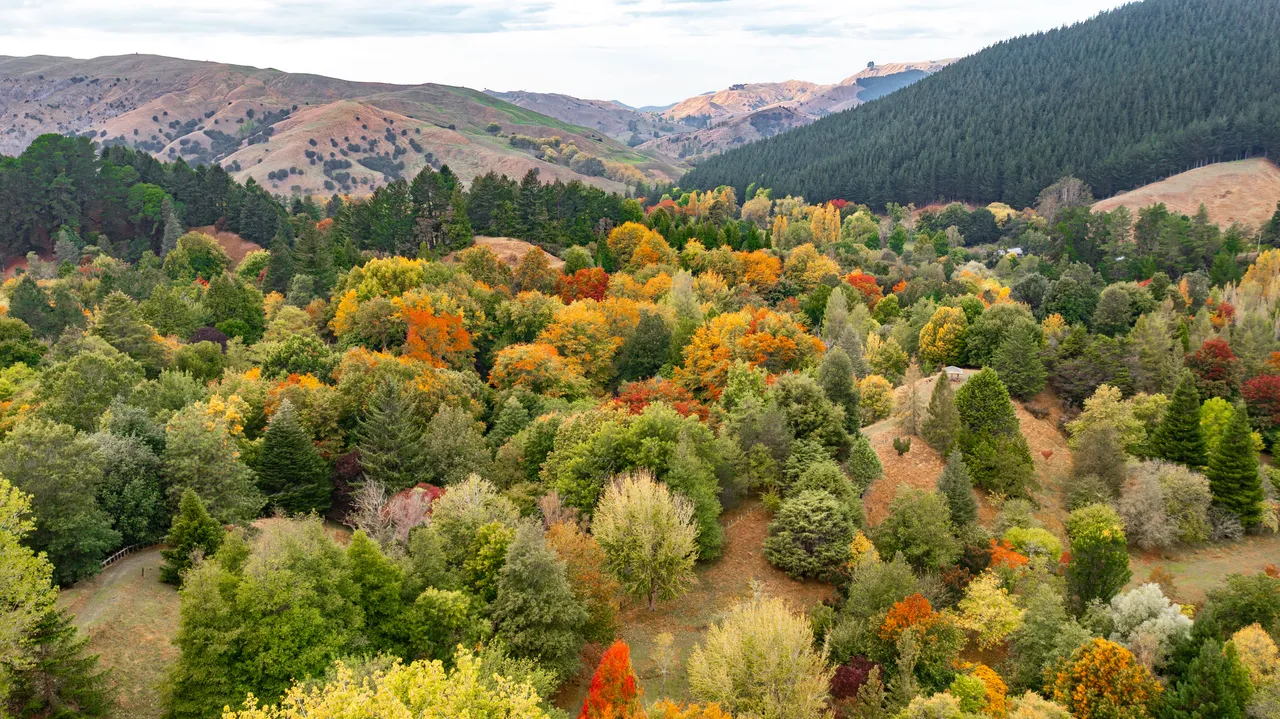Eastwoodhill Arboretum-14