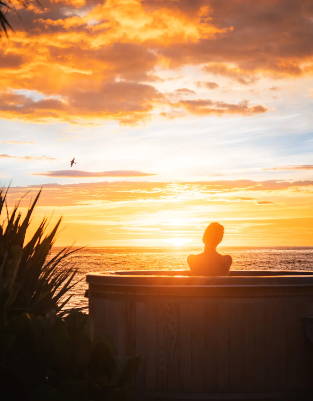 Tatapouri Bay Oceanside Accommodation 