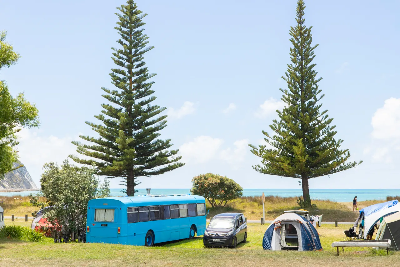 Tolaga Bay - Camping 