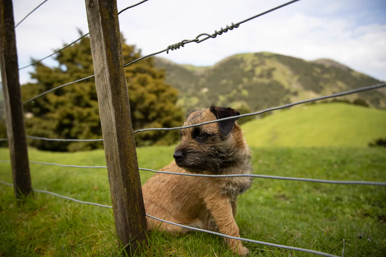 Mahaanui Farmstay 