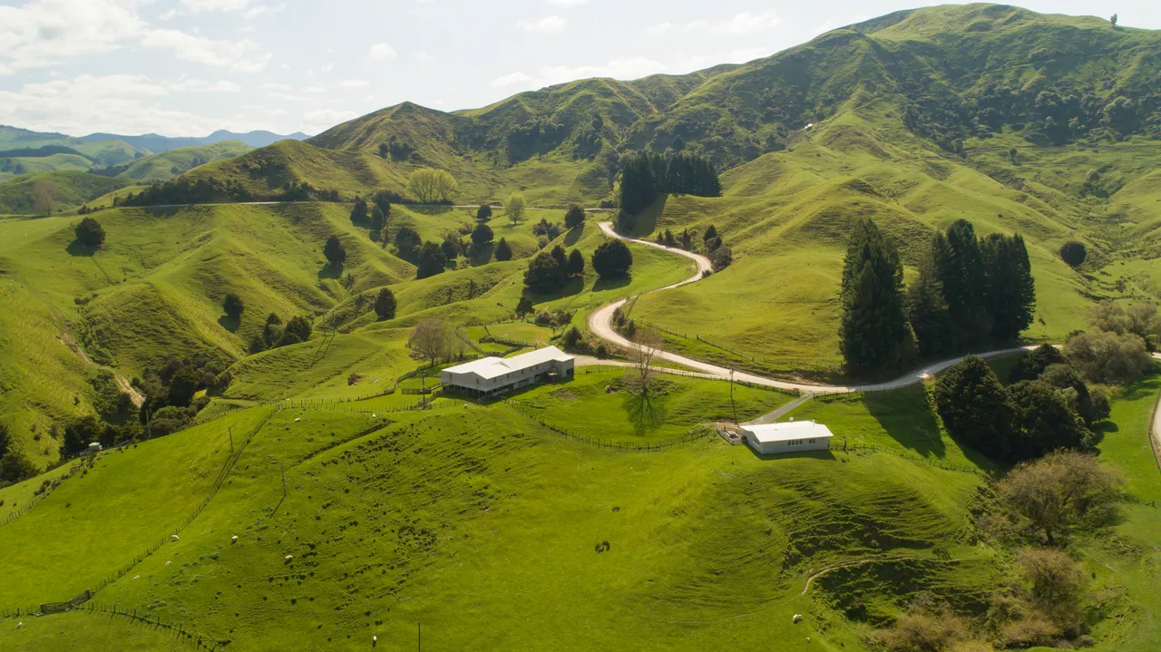 DJI_0021