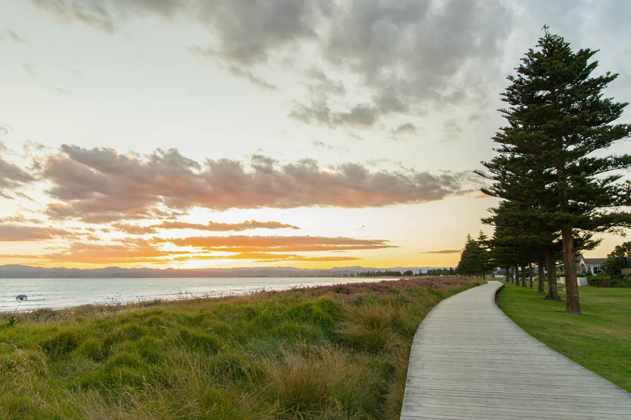 Waikanae Beach Boardwalk