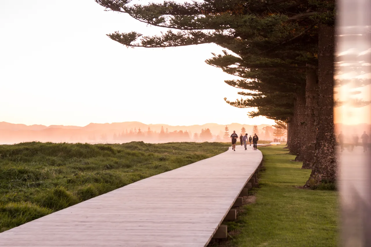 Waikanae Beach Boardwalk
