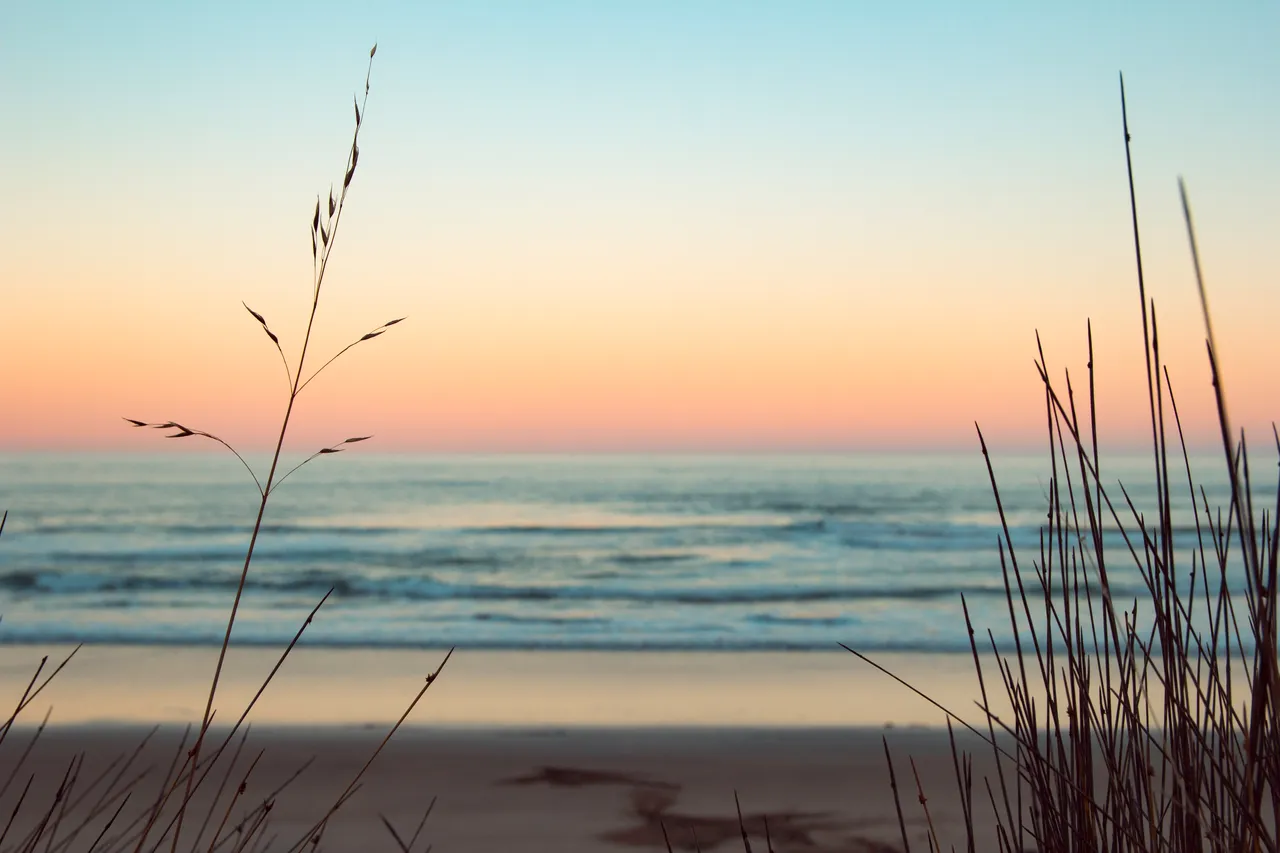 Wainui Beach