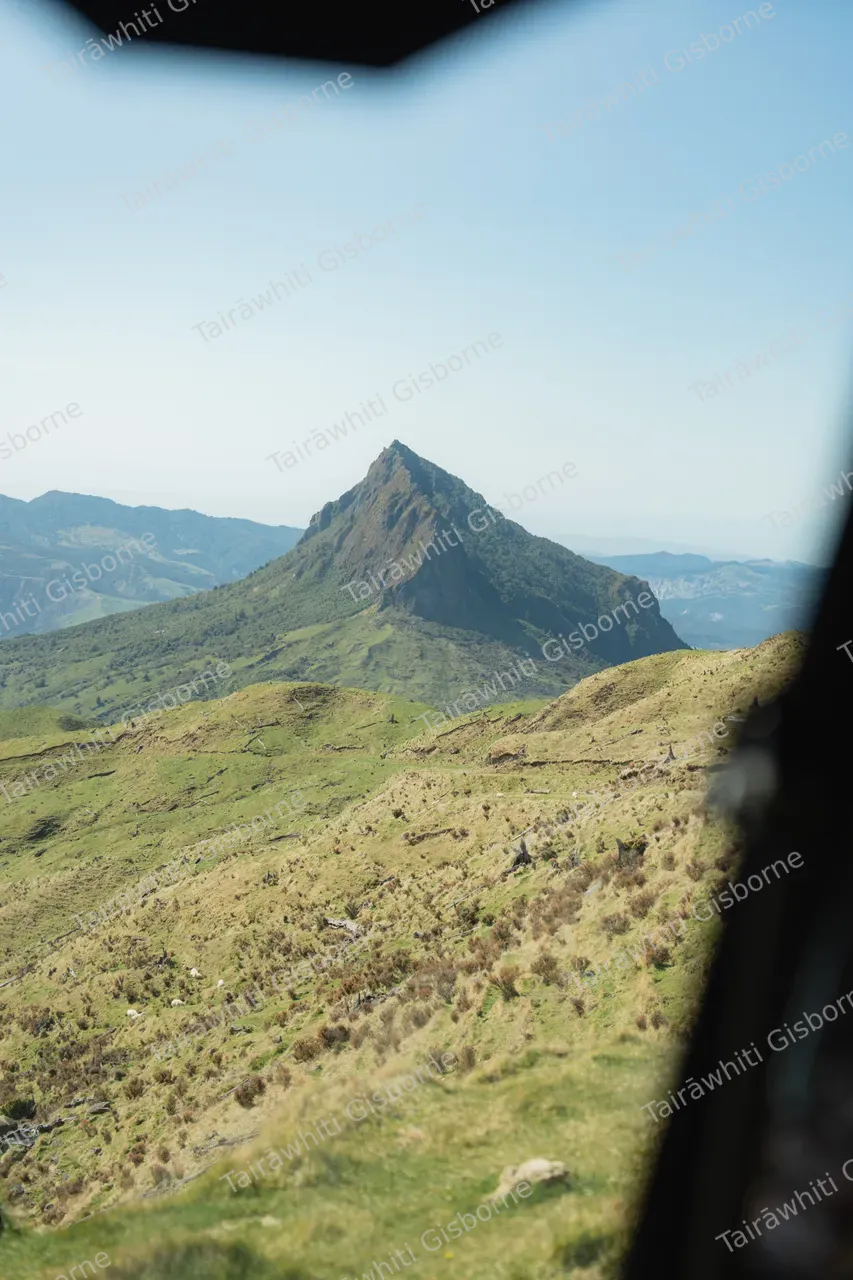 20240912-Mt Hikurangi-16