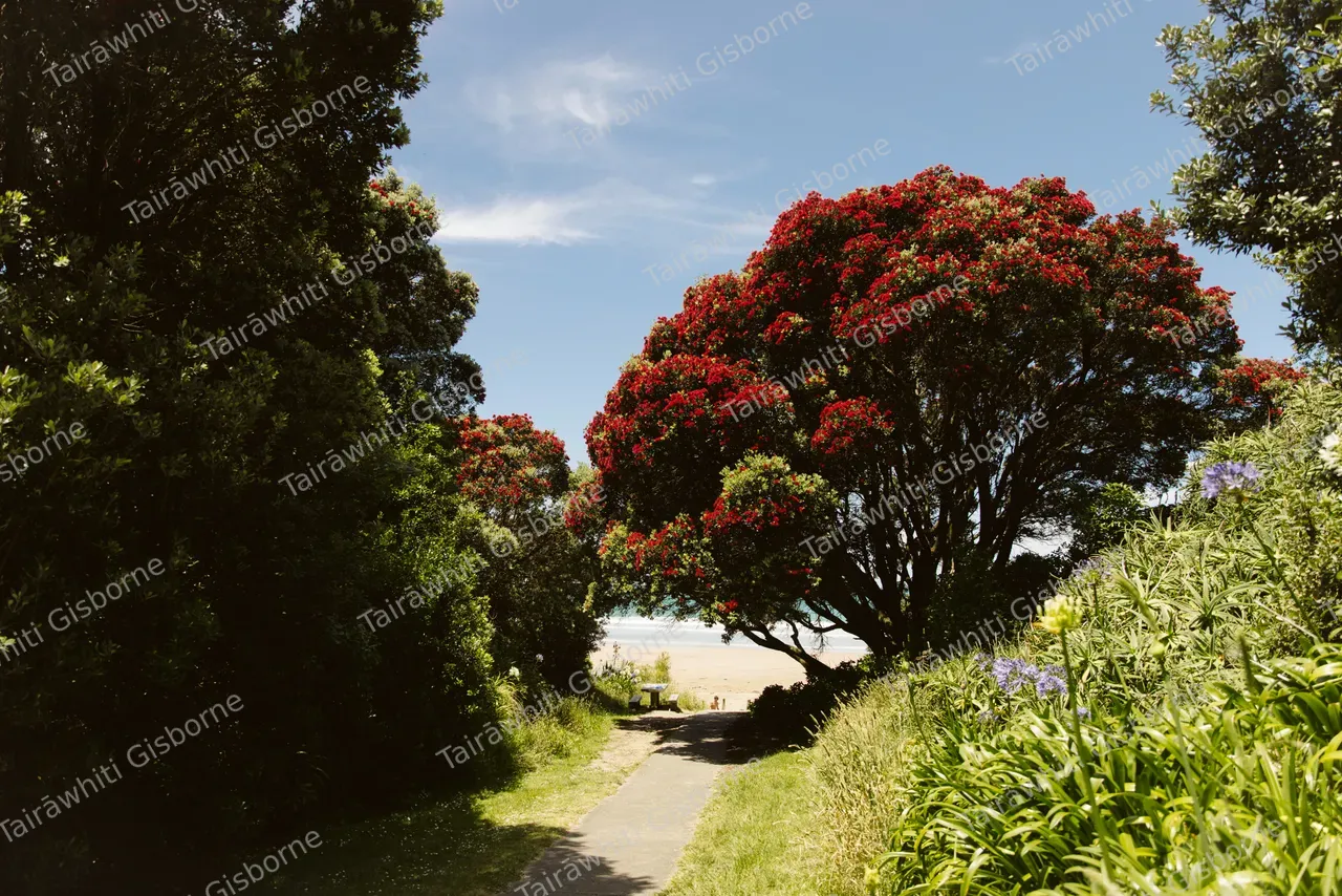 Wainui Beach