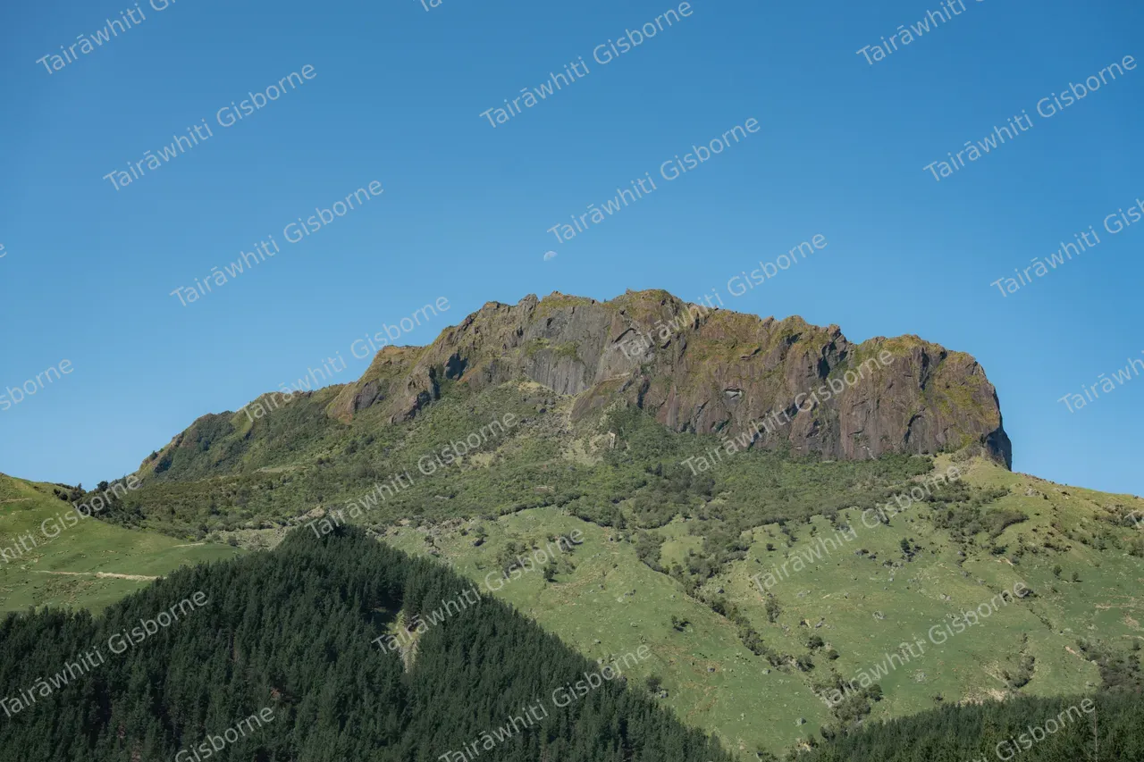 20240912-Mt Hikurangi-17