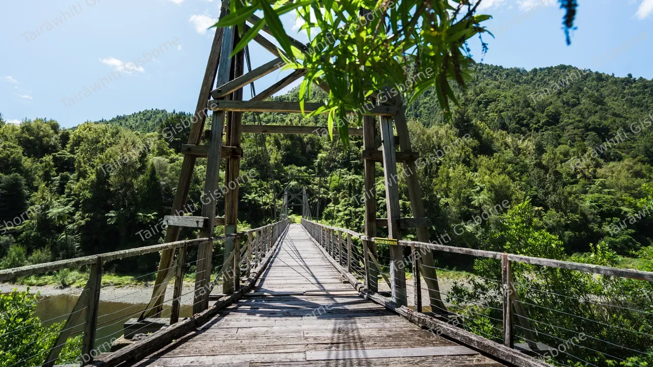 Tauranga Bridge - Waioeka Gorge