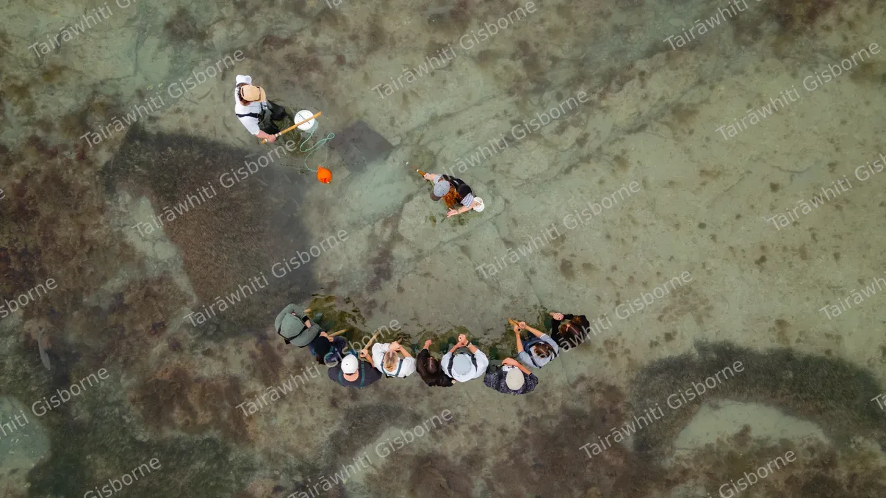 Dive Tatapouri