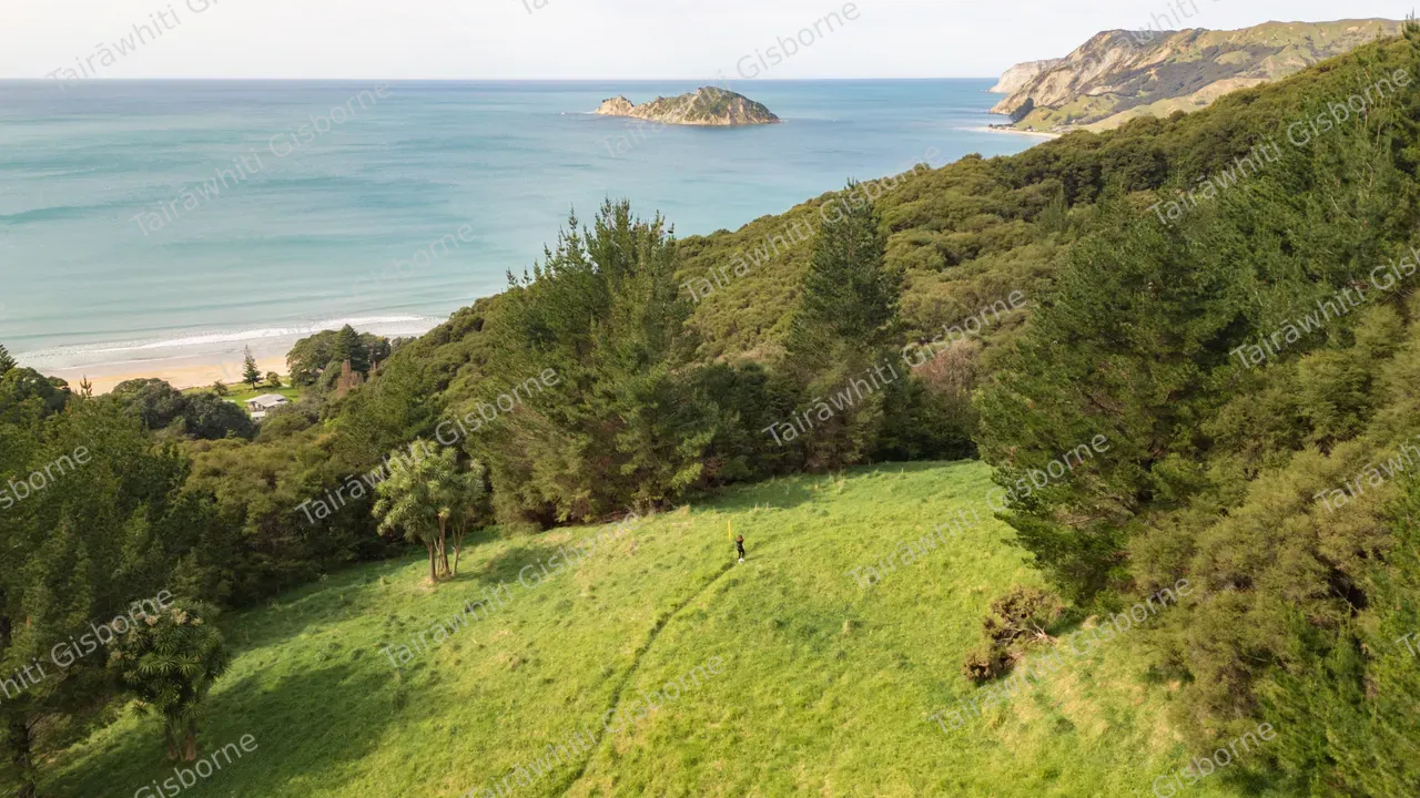 20240913-Anaura Bay-14