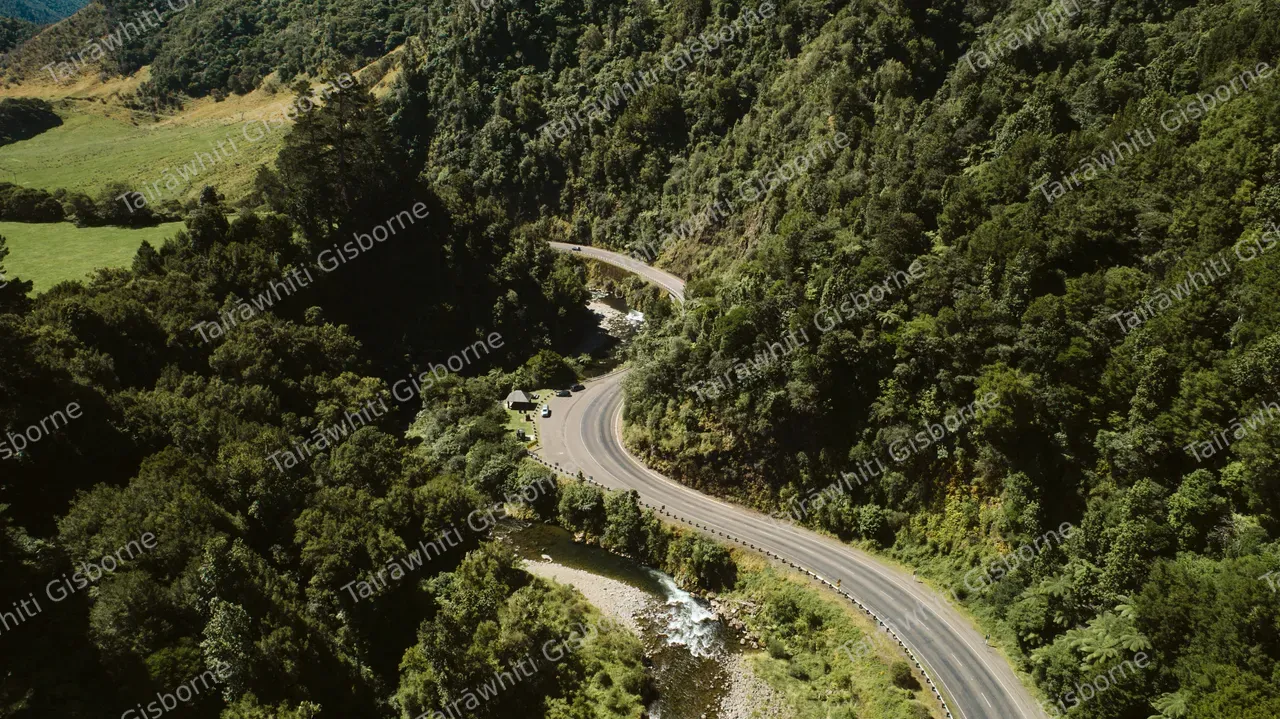 Waioeka Gorge 
