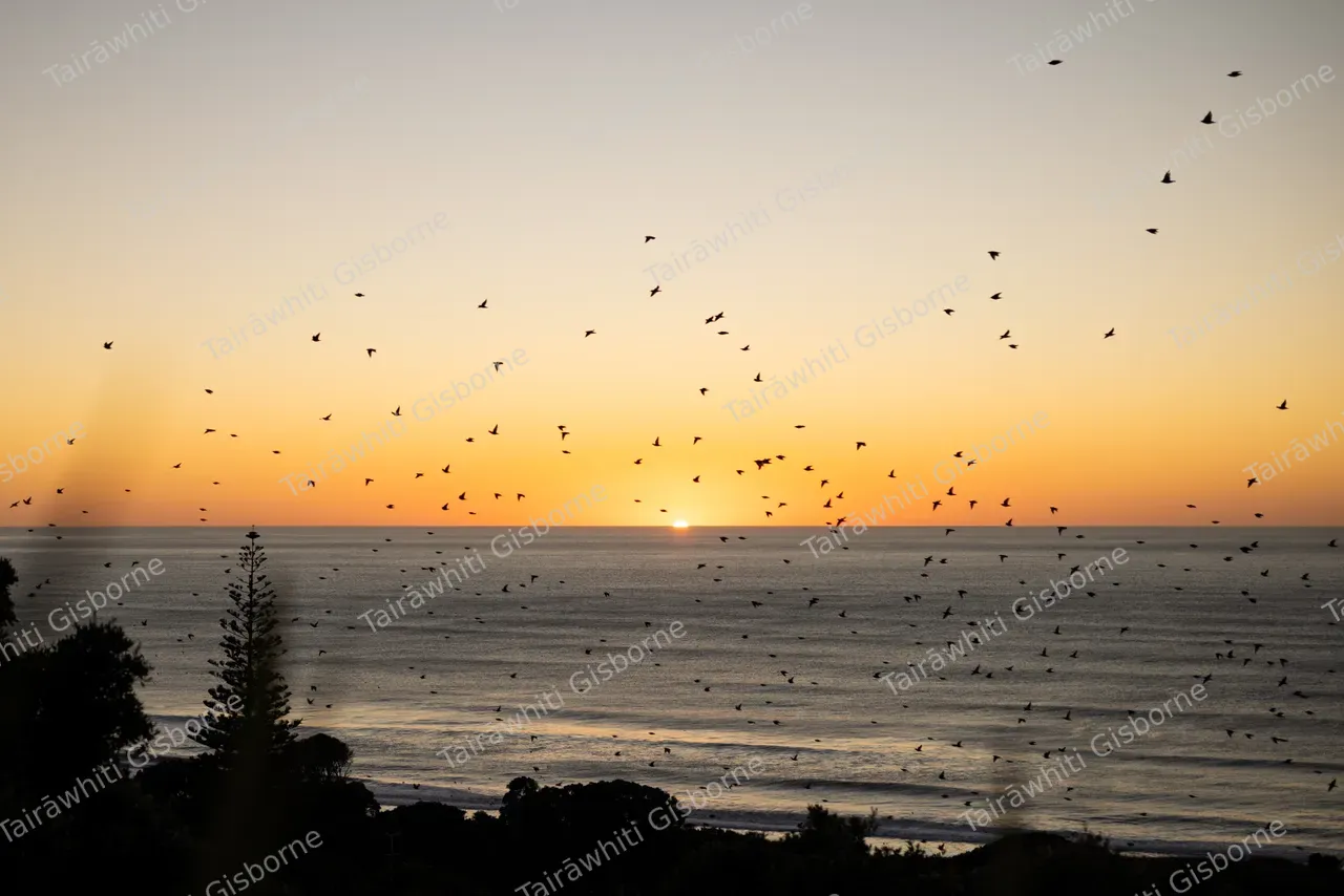 Wainui Beach Sunrise 