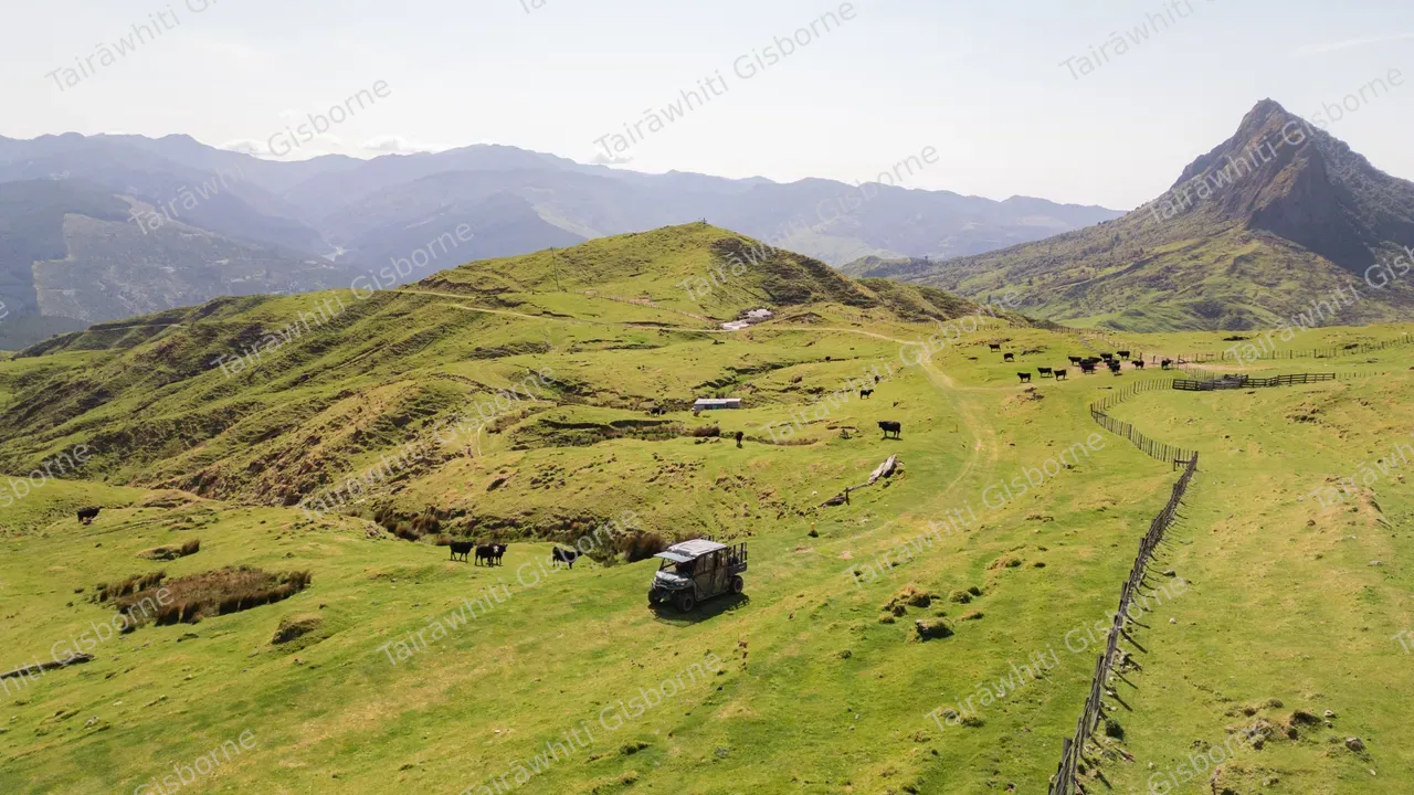 20240912-Mt Hikurangi-10