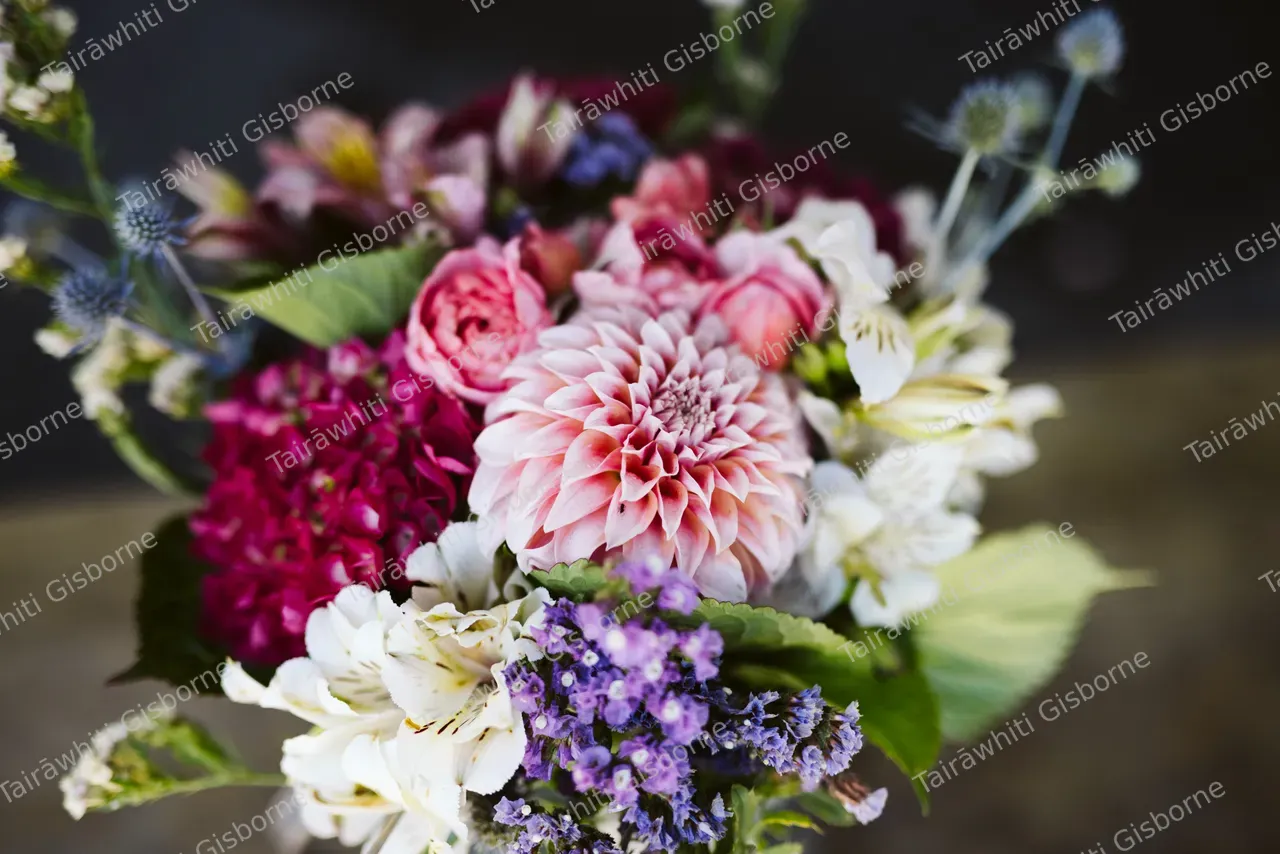 Gisborne Farmers Market 