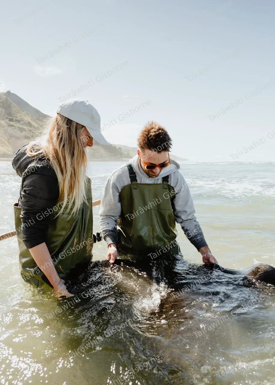20241118-DiveTatapouri001