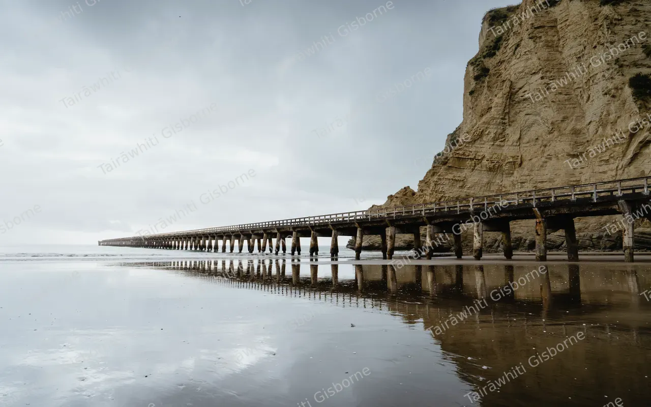 20241118-TolagaBay004