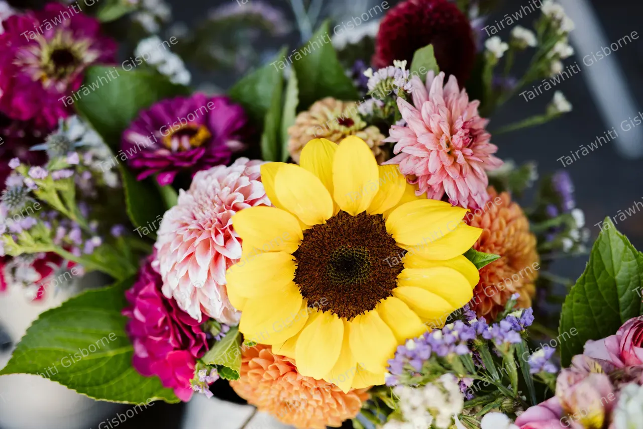 Gisborne Farmers Market 