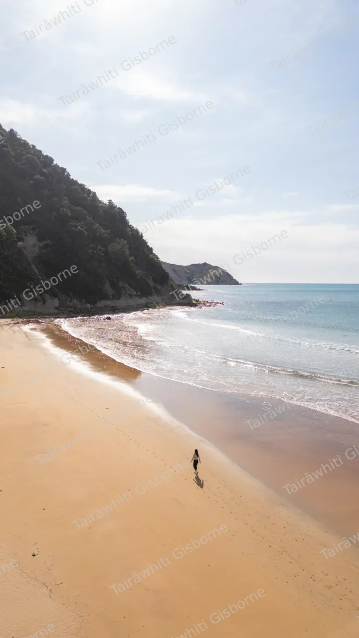 20240913-Anaura Bay-08