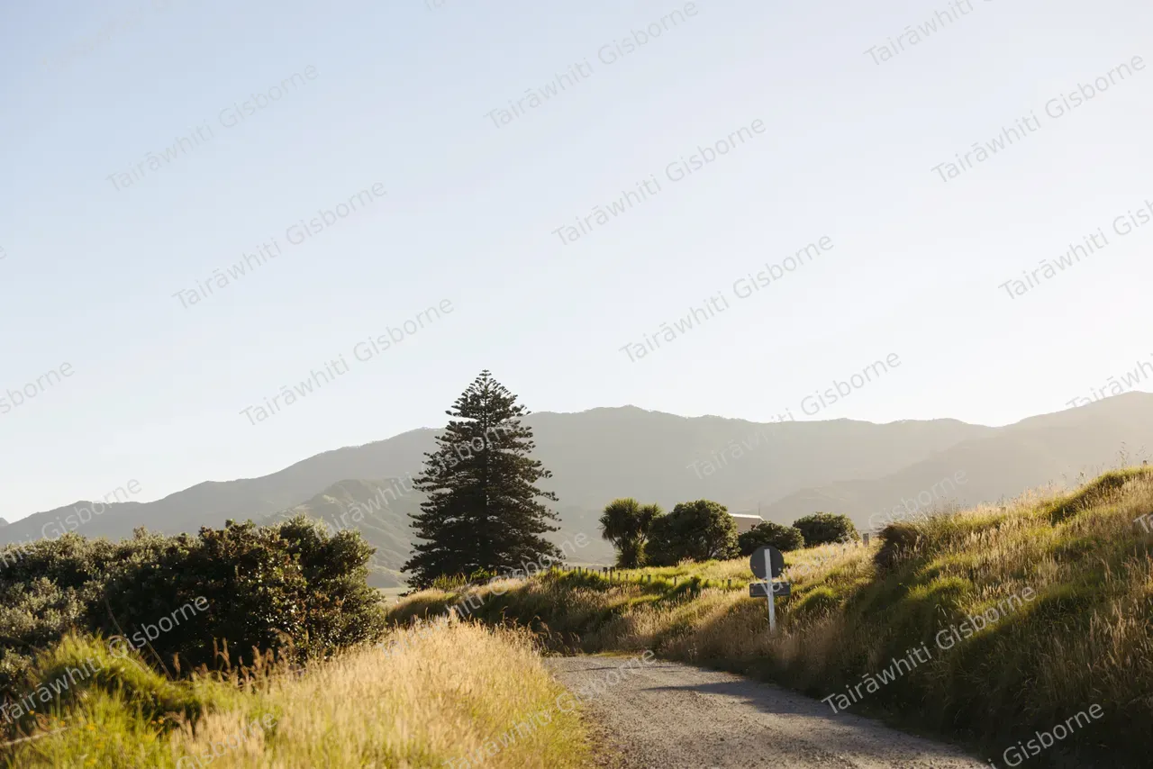 East Cape Road