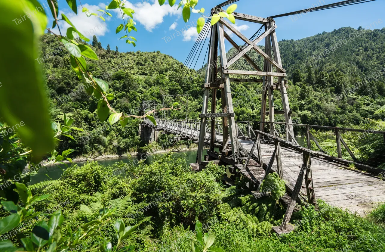Tauranga Bridge - Waioeka Gorge 