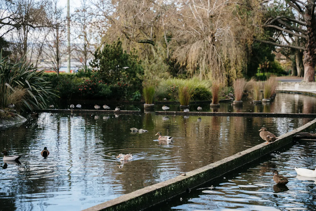 Green Spaces (27)