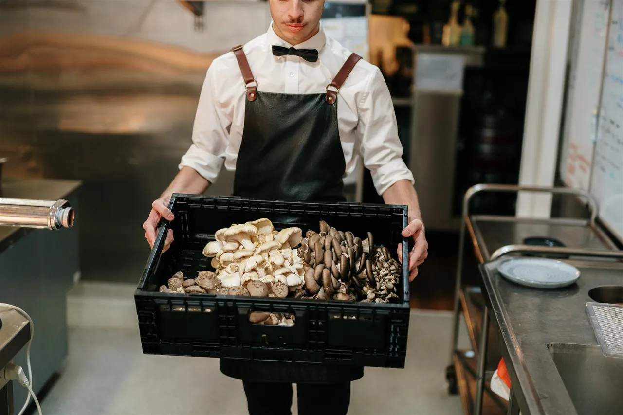Gastronomy & Produce 