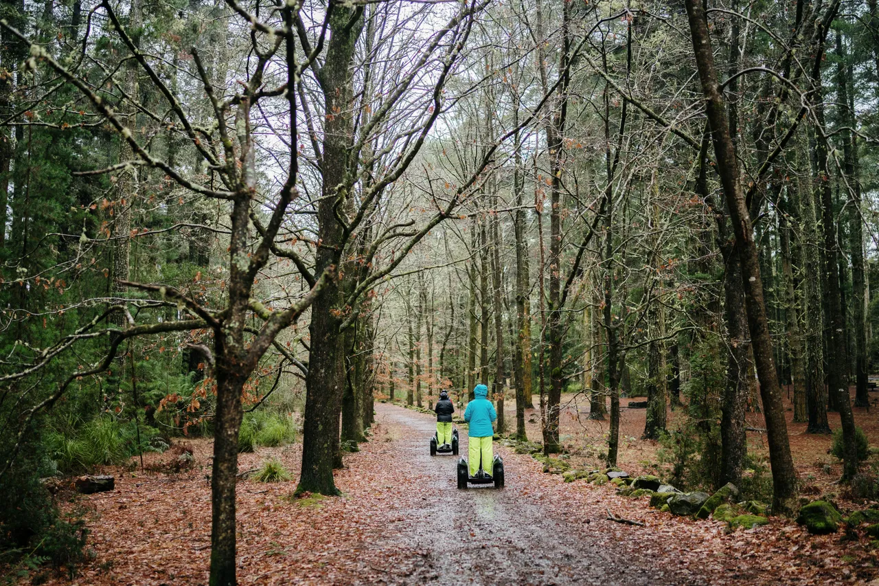 Green Spaces (81)