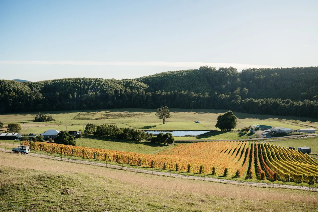 The Ridge Vineyard -19