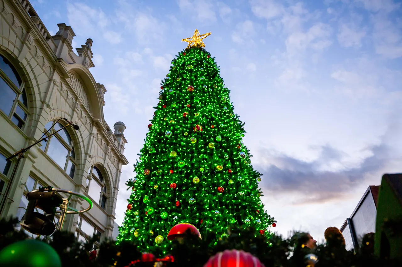 LightingoftheTree2025-86