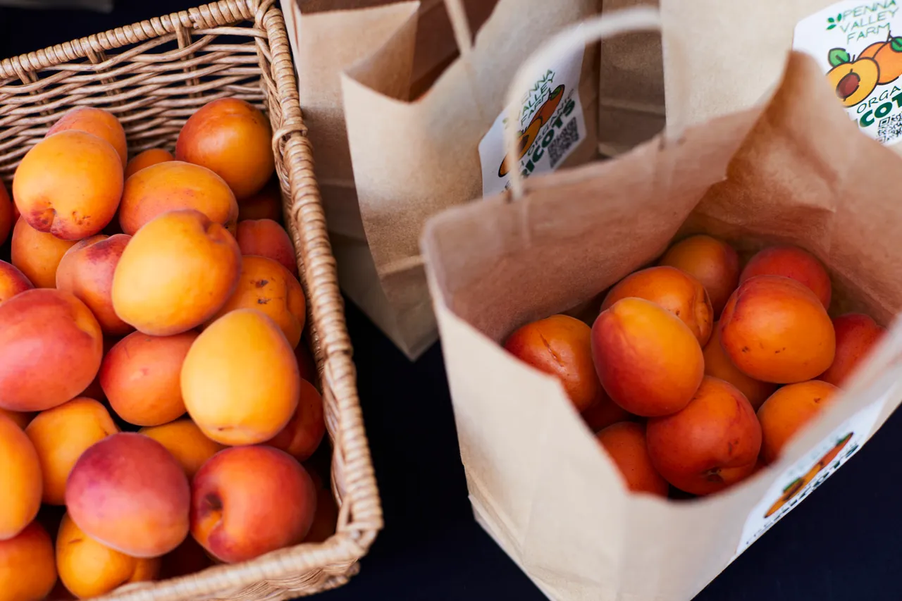 Harvest Market (116)