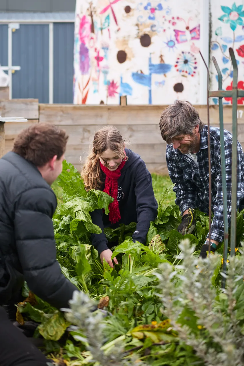 The_Farm_August_2615