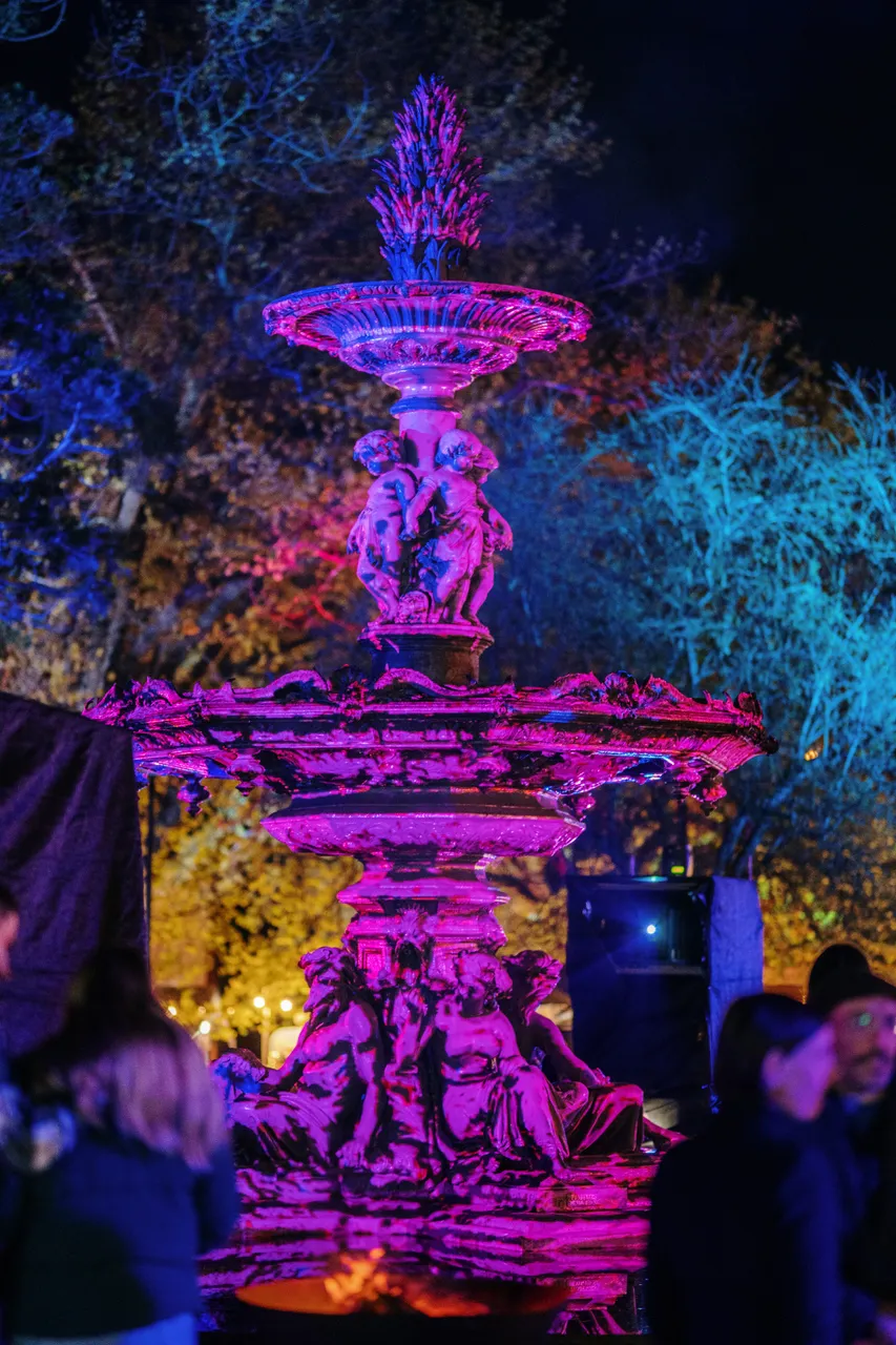 Festivals & Events (14)