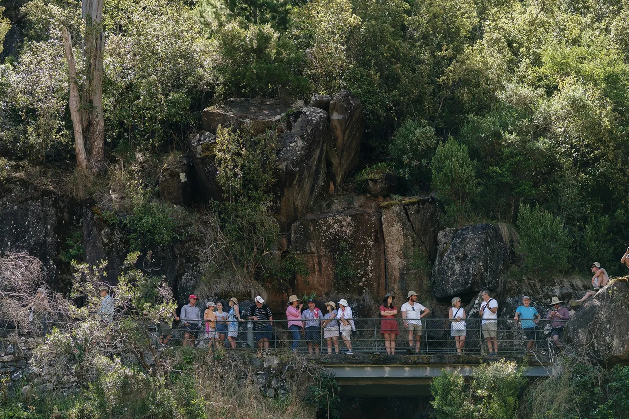 Cataract Gorge walkway (153)