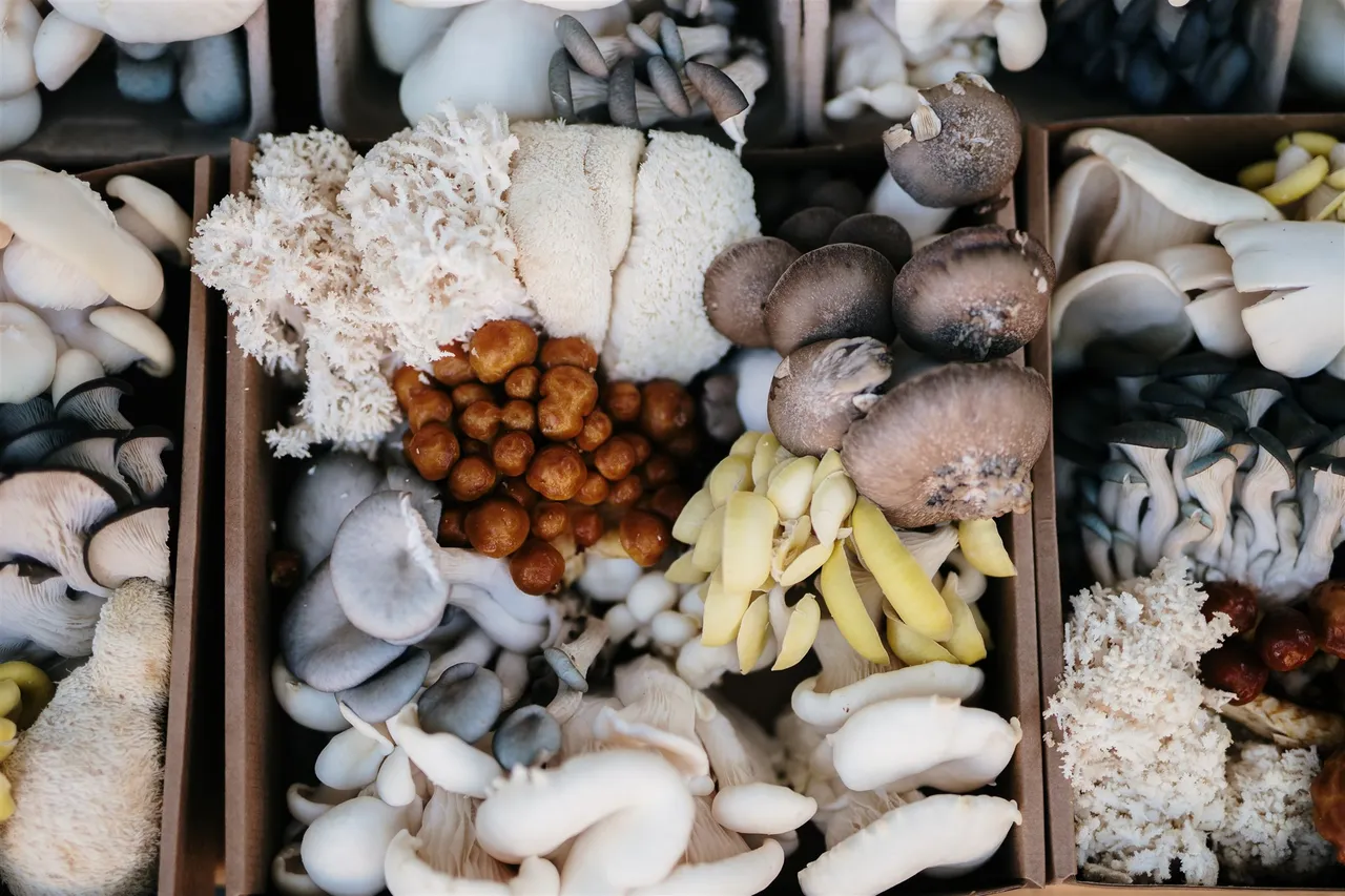 Harvest Market (14)
