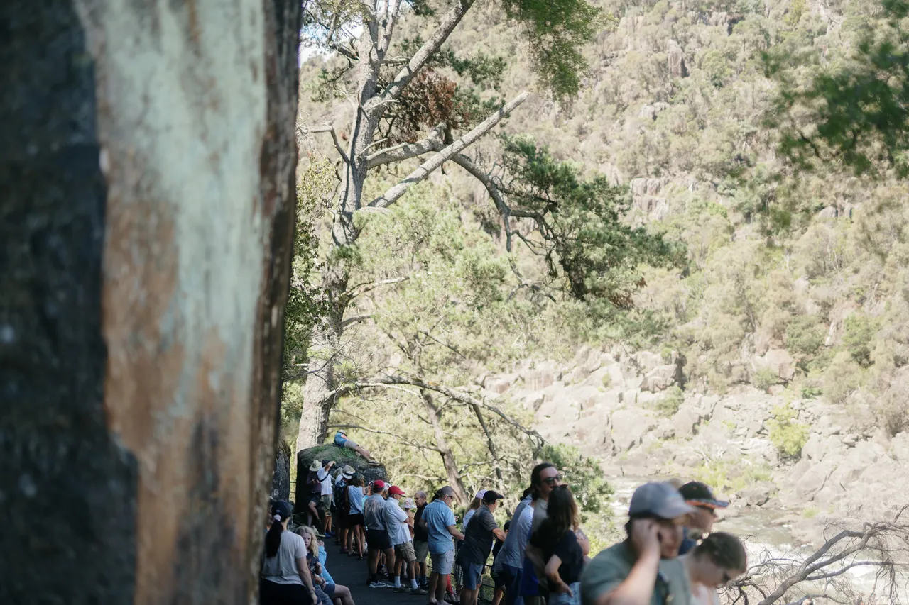 Cataract Gorge (2)