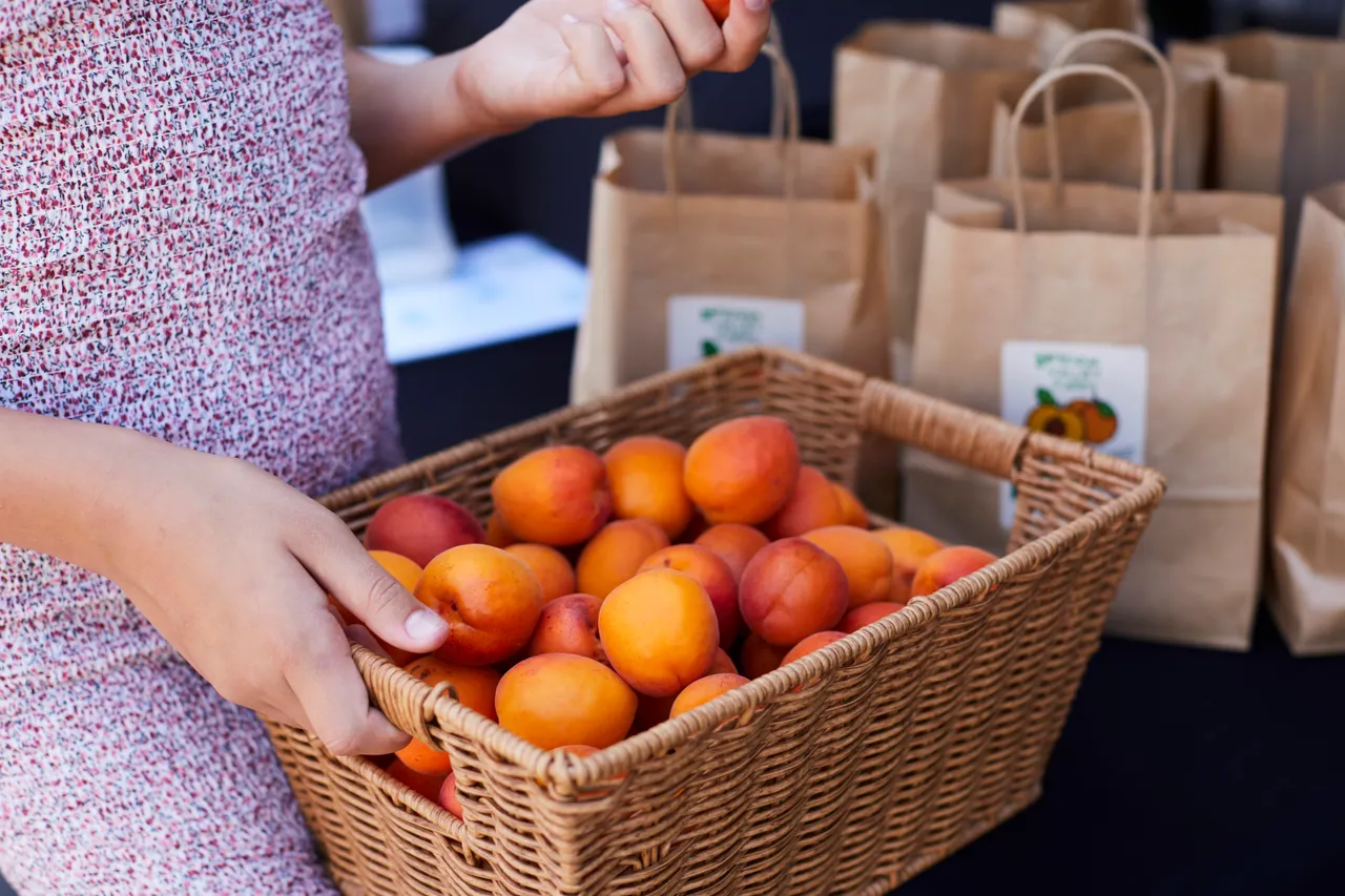 Harvest Market (114)
