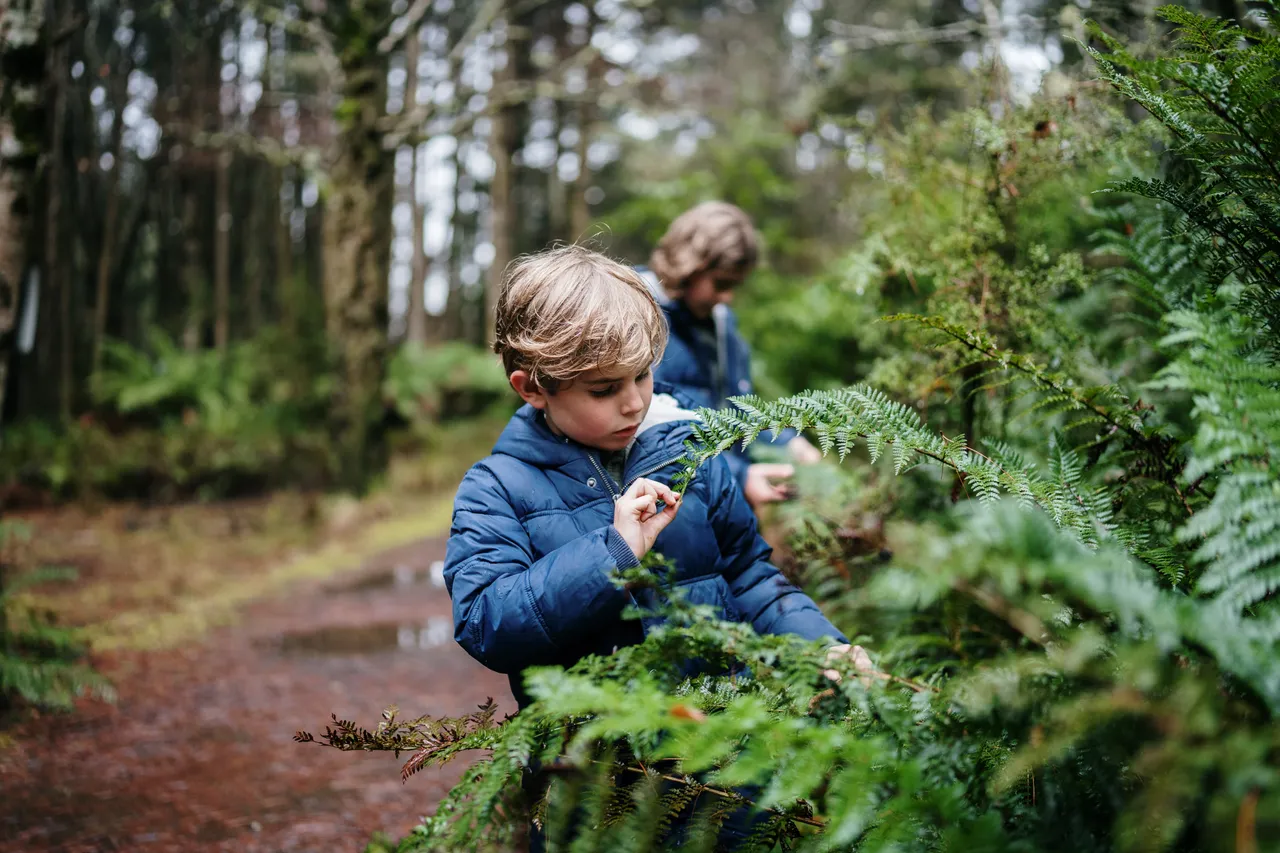 Album cover Green Spaces
