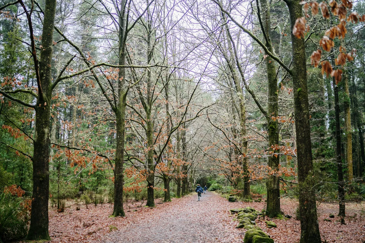 Green Spaces (83)
