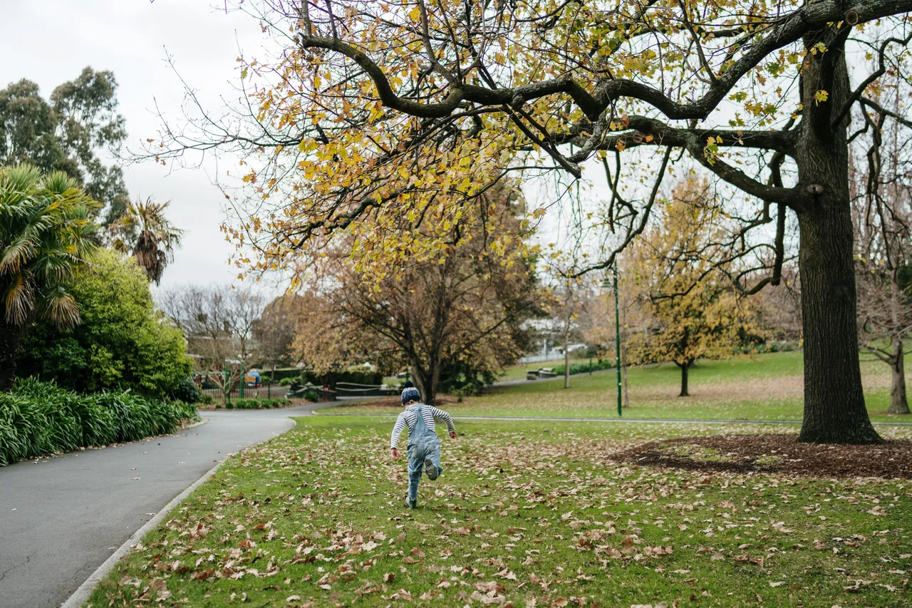 Green Spaces (50)
