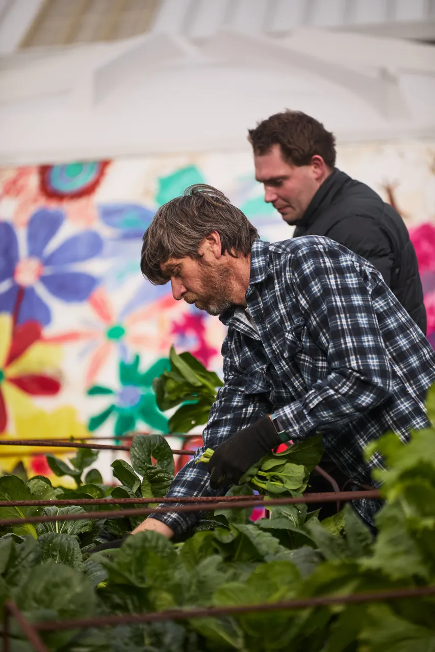 The_Farm_August_2635